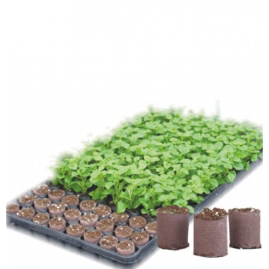 Bandeja 104 alveolos Gramospeed 2,5cm Paperpot spezial
