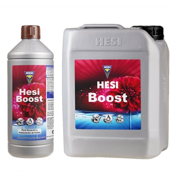 Boost Hesi