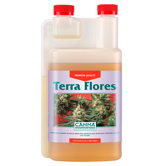 Terra Flores Canna