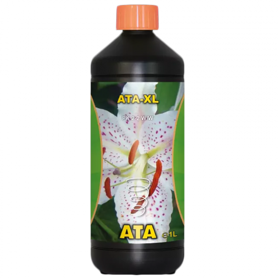 Ata XL Atami