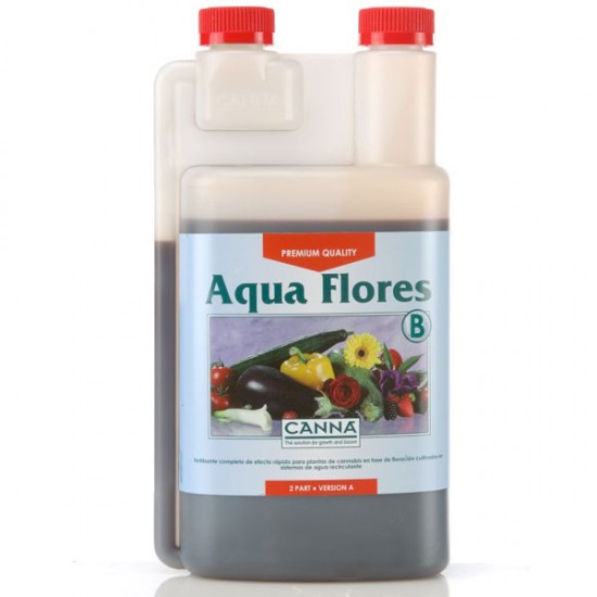 Aqua Flores A Canna