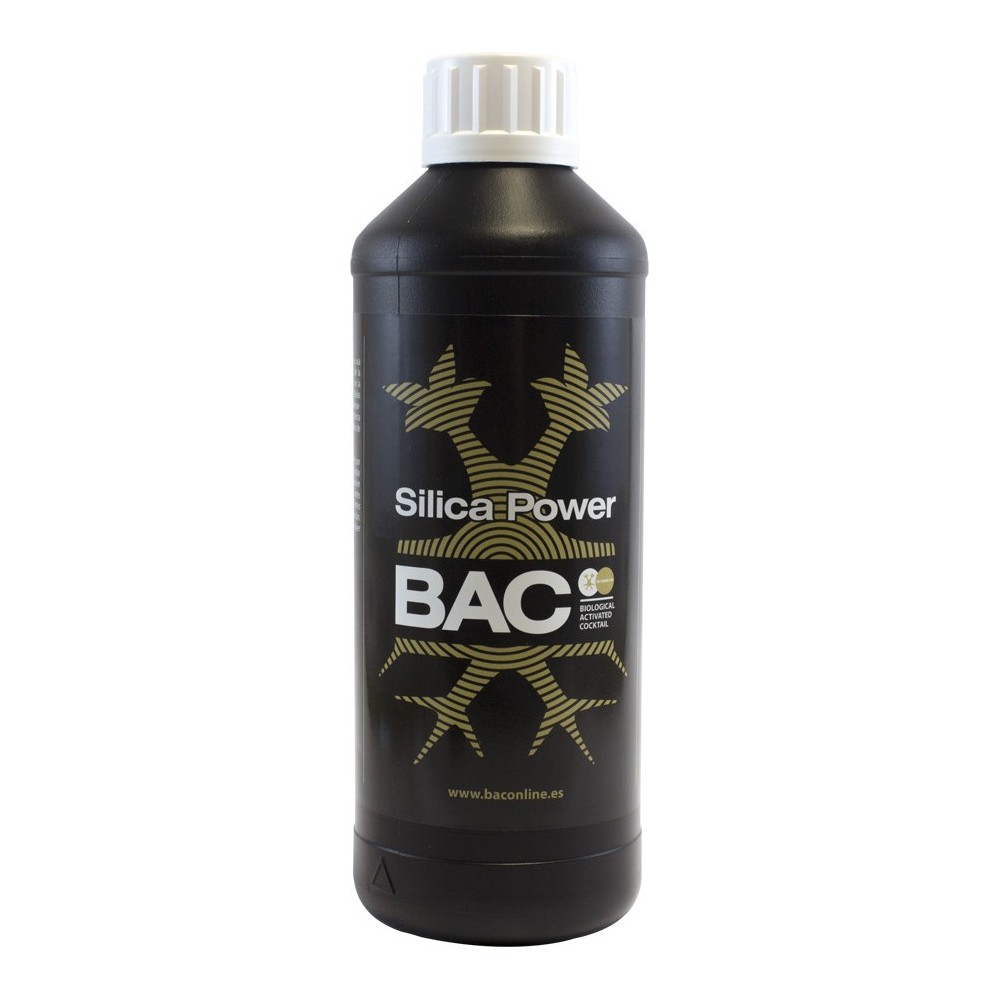 Silica Power (BAC)