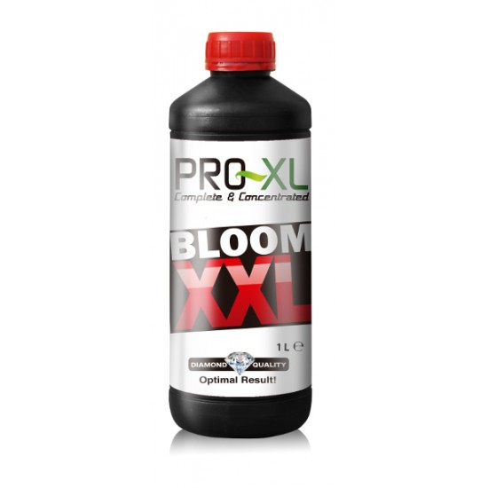 Bloom XXL Pro-XL
